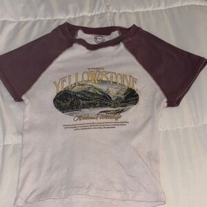 Women's Burgundy and White Graphic Crop Top